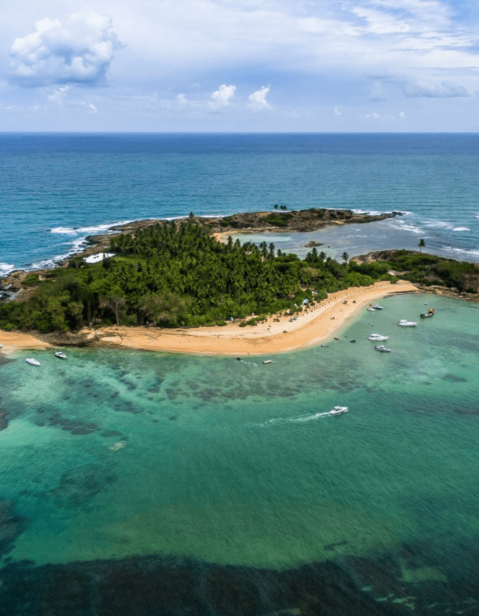 Ilha de Santo Aleixo